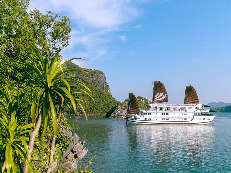 Bhaya Cruises Halong Bay Team 5